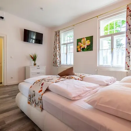 Albizia-Apartments Baden Extérieur photo